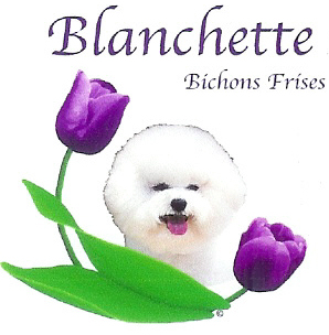 Blanchette Bichons